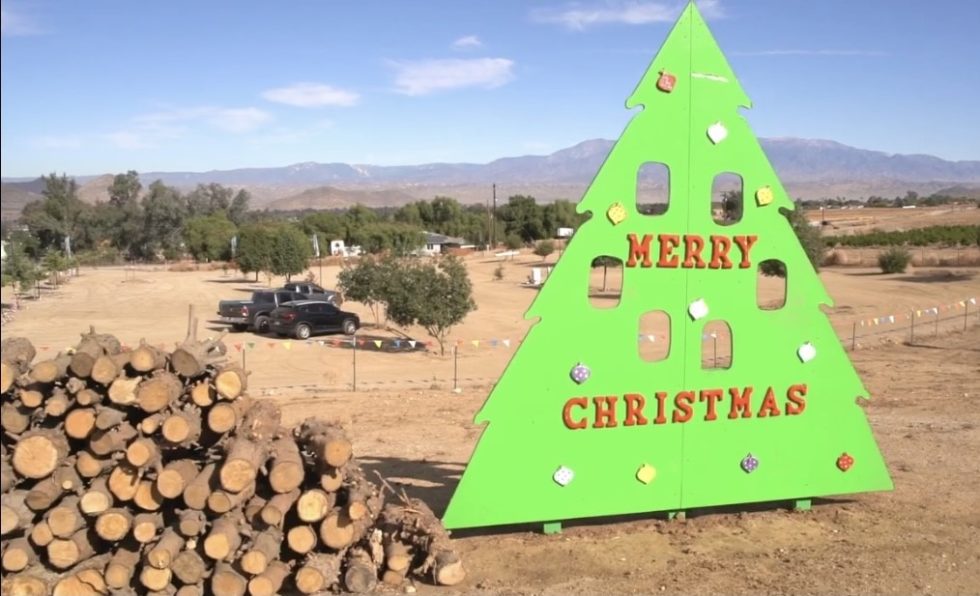 Rye Farms | Christmas Tree Farm