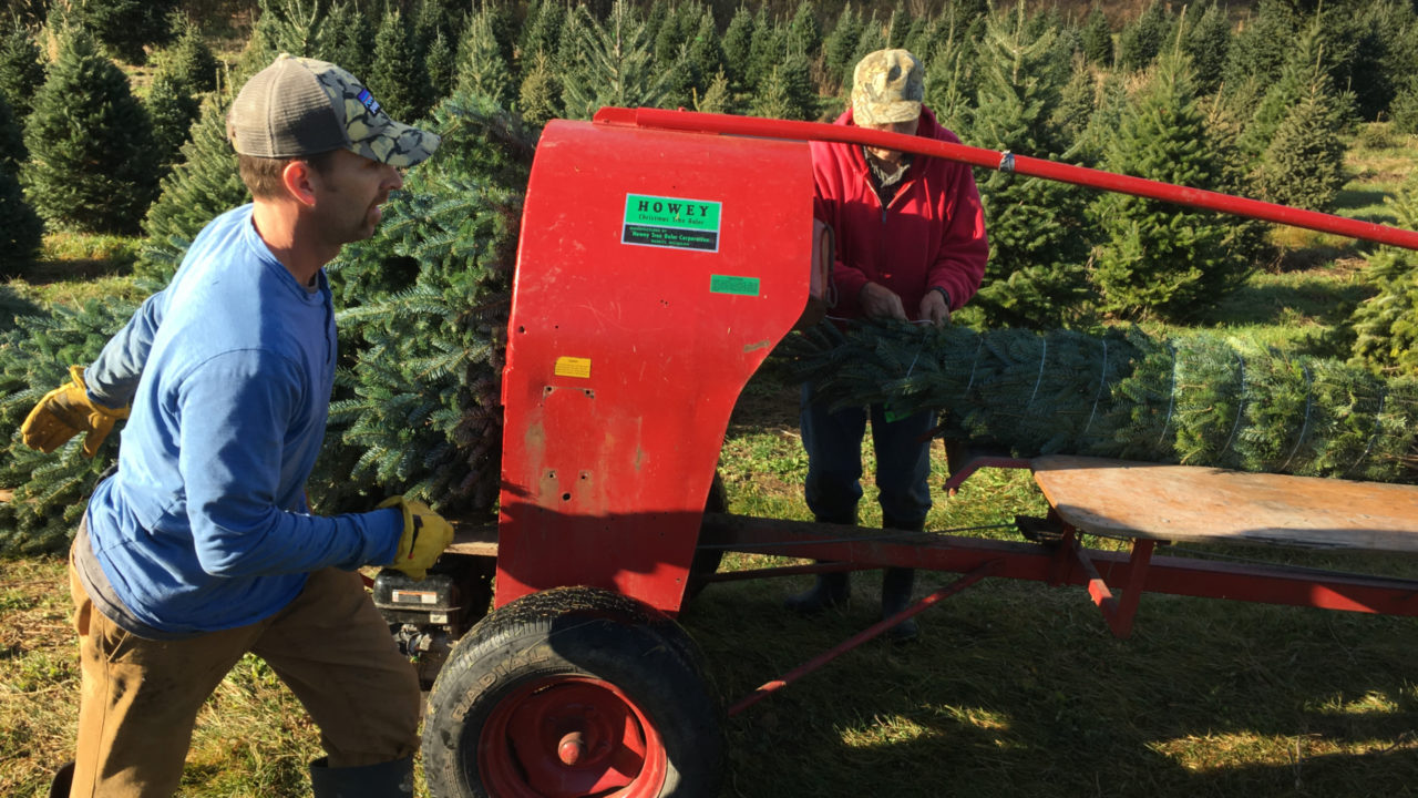 hours-location-wildwood-christmas-tree-farm